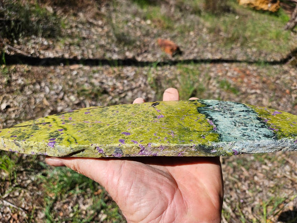 Polished Stichtite in Serpentine slab (Atlantisite) STI148