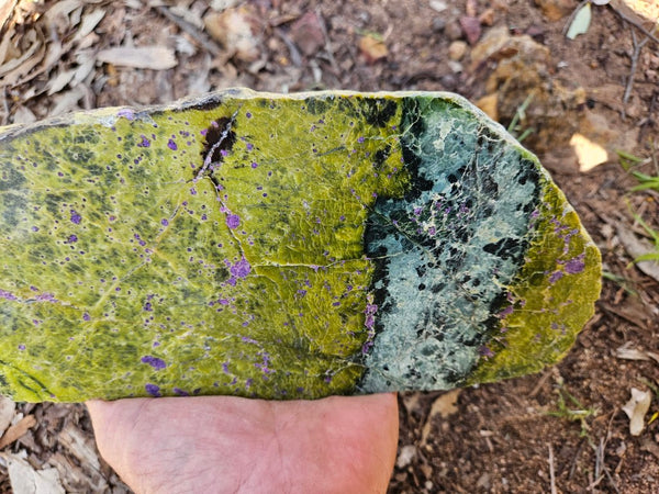 Polished Stichtite in Serpentine slab (Atlantisite) STI148