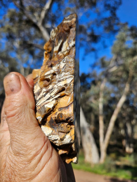 Polished Brecciated Mookaite rock BM316