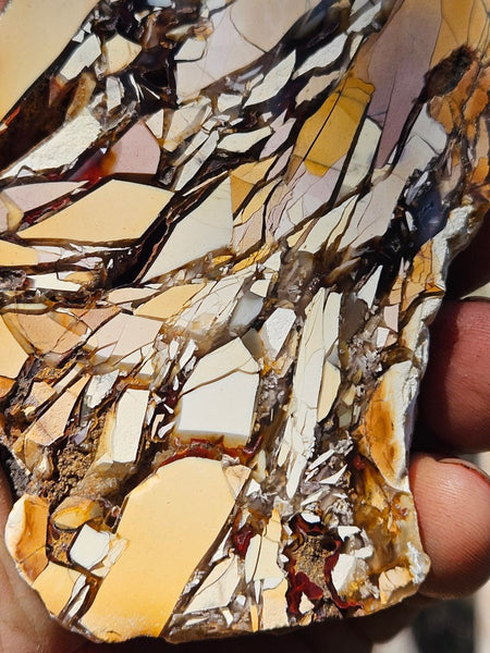 Polished Brecciated Mookaite rock BM316