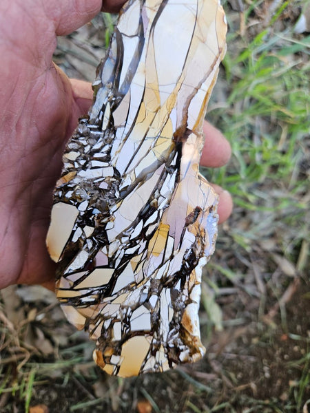 Polished Brecciated Mookaite rock BM316