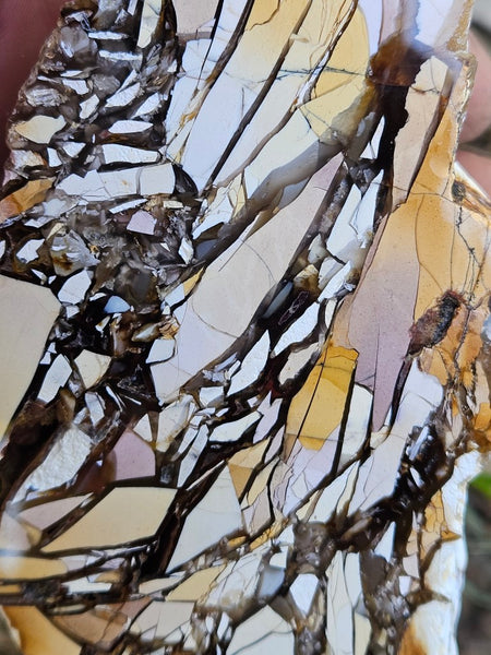 Polished Brecciated Mookaite rock BM316