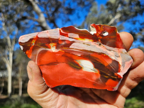 Polished Mookaite slab MK507