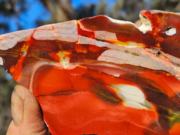 Polished Mookaite slab MK507