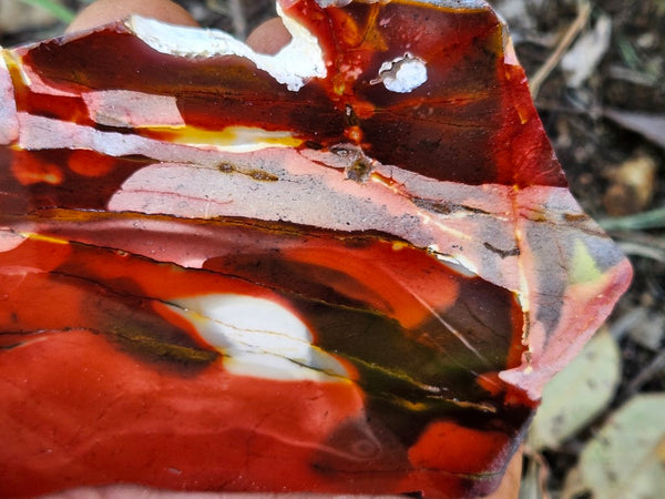 Polished Mookaite slab MK507