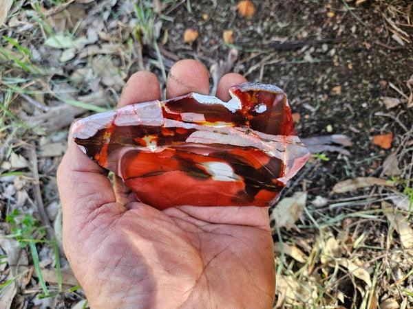 Polished Mookaite slab MK507