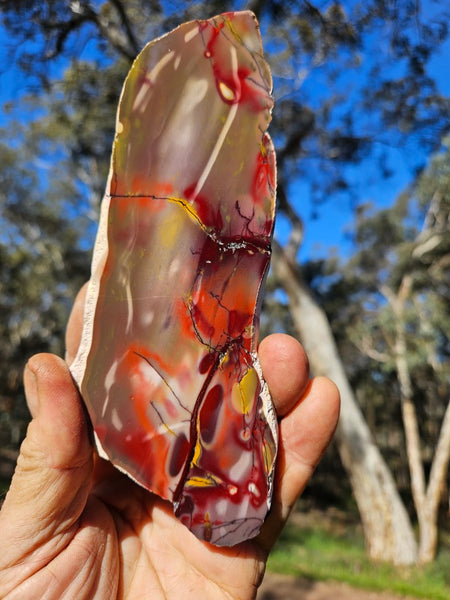 Polished Mookaite slab MK508