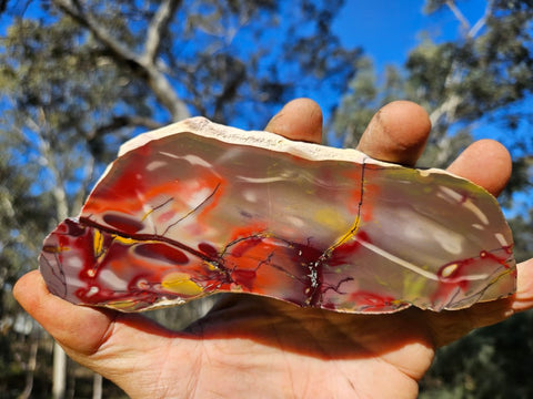 Polished Mookaite slab MK508