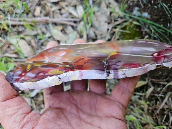 Polished Mookaite slab MK508