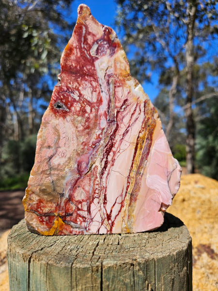 Polished Brecciated Pink Opal  POP199