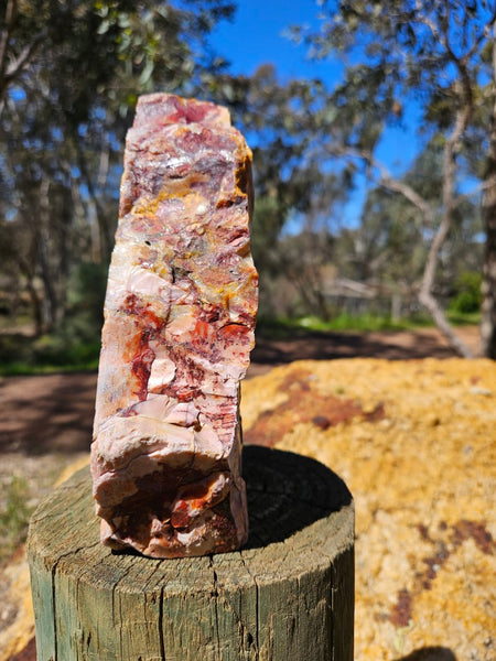 Polished Brecciated Pink Opal  POP199