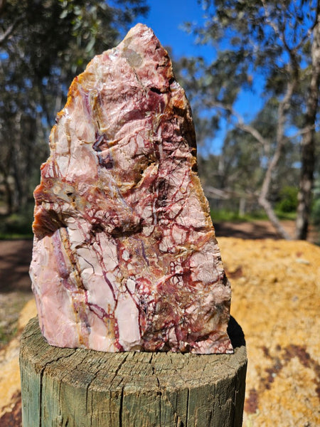 Polished Brecciated Pink Opal  POP199