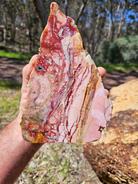 Polished Brecciated Pink Opal  POP199