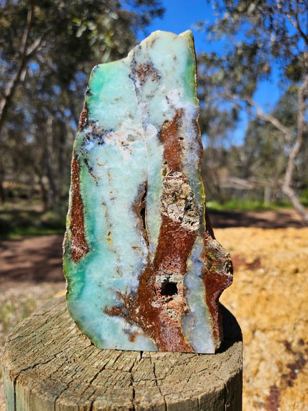 Polished  Chrysoprase  CH470