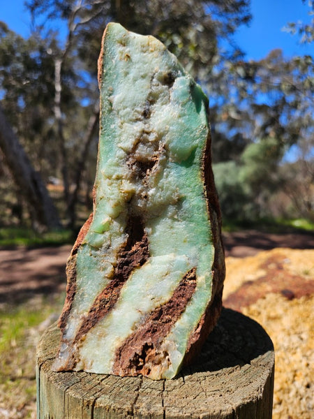 Polished  Chrysoprase  CH470