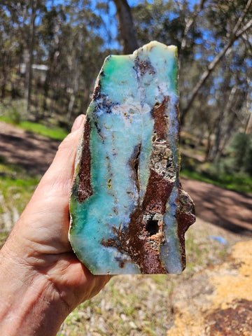 Polished  Chrysoprase  CH470