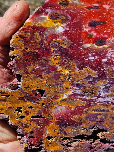 Polished Killaloe Opal slab KO102