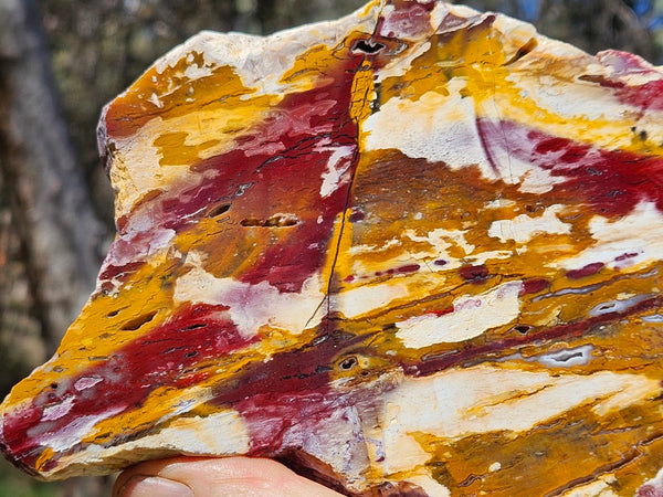 Polished Killaloe Opal slab KO103