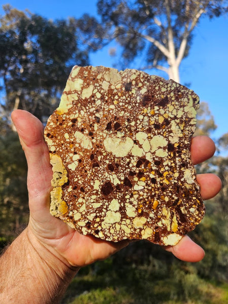 Polished Magnesite slab. MAP211