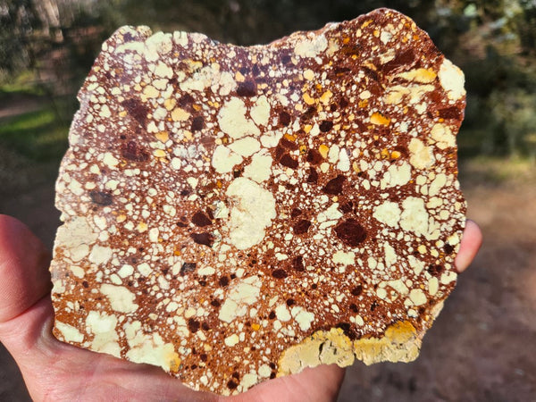 Polished Magnesite slab. MAP211