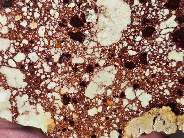 Polished Magnesite slab. MAP211