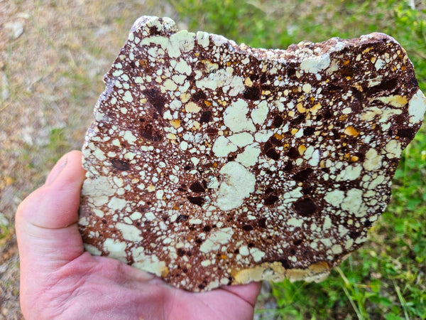 Polished Magnesite slab. MAP211