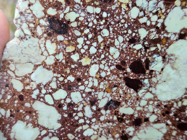 Polished Magnesite slab. MAP211