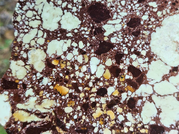 Polished Magnesite slab. MAP211