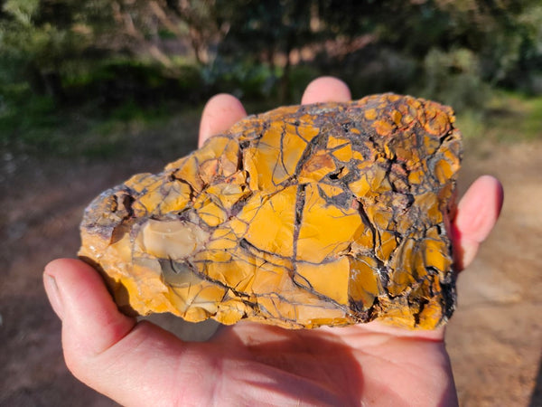 Polished Brecciated Mookaite rock BM317