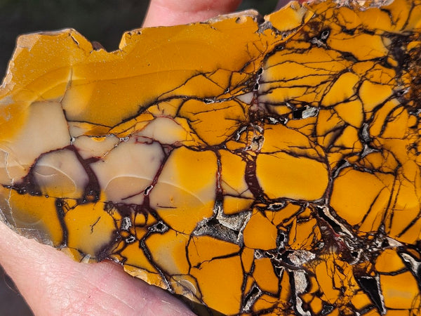 Polished Brecciated Mookaite rock BM317