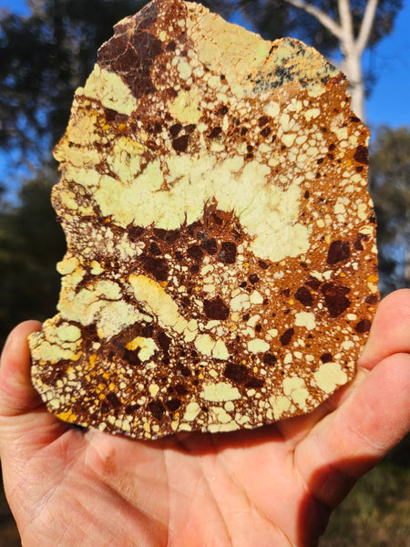 Polished Magnesite slab. MAP216