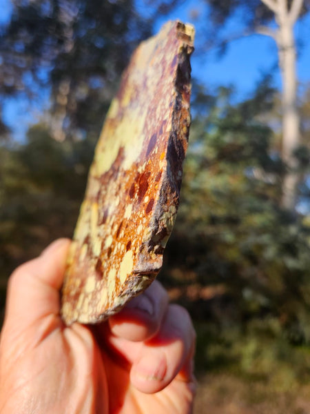 Polished Magnesite slab. MAP216