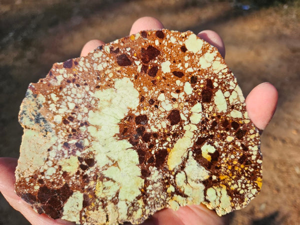 Polished Magnesite slab. MAP216