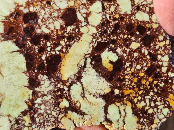 Polished Magnesite slab. MAP216