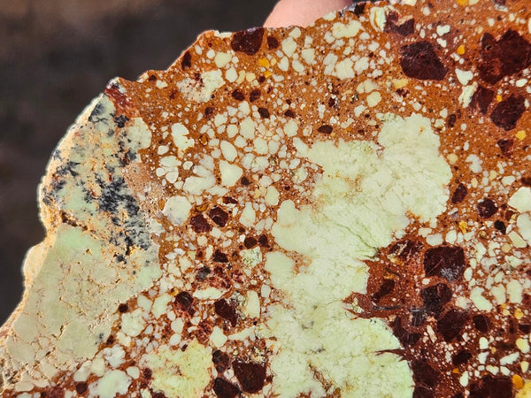 Polished Magnesite slab. MAP216