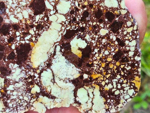 Polished Magnesite slab. MAP216