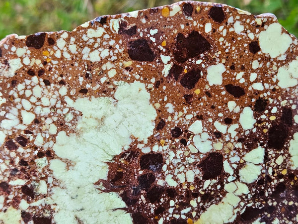 Polished Magnesite slab. MAP216