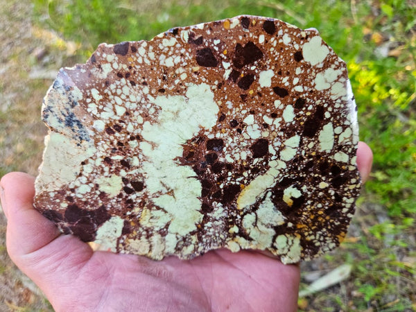Polished Magnesite slab. MAP216