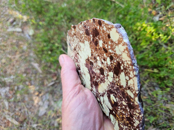 Polished Magnesite slab. MAP216