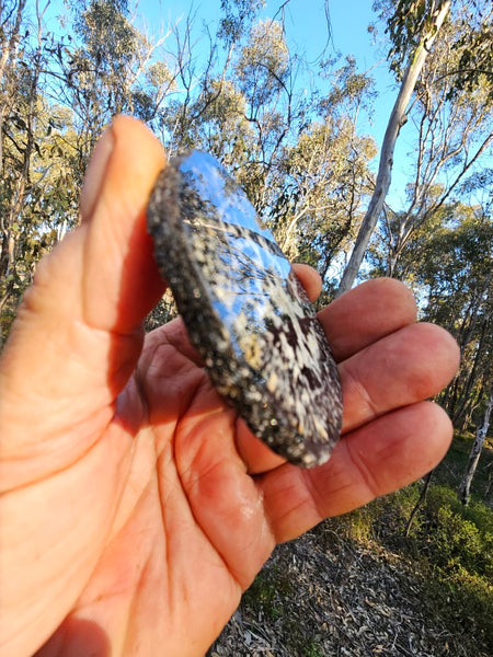 Polished Orbicular Granite slab. OG201