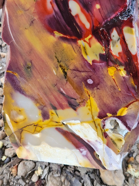 Polished Mookaite  MK511