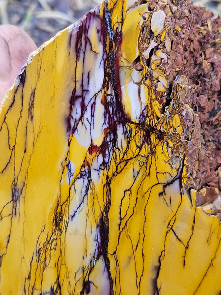 Polished Mookaite  MK512