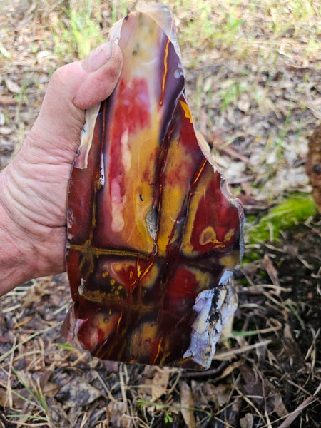 Polished Mookaite  MK513