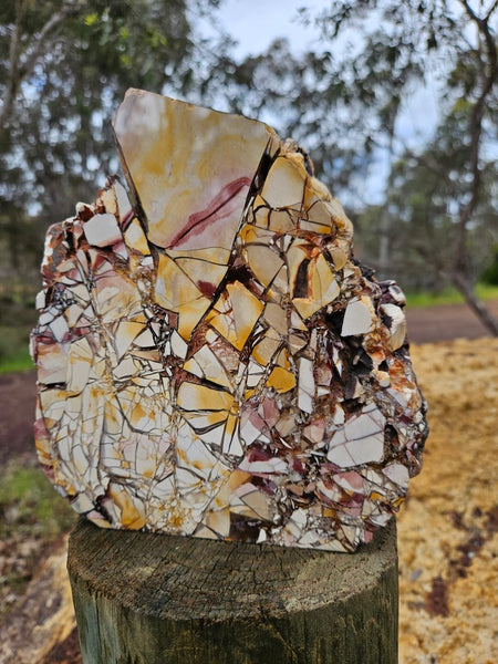 Polished Brecciated Mookaite rock BM319