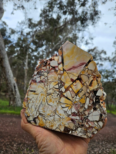 Polished Brecciated Mookaite rock BM319