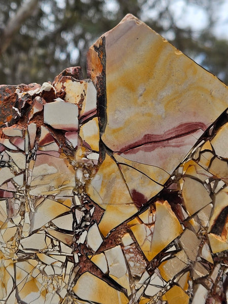 Polished Brecciated Mookaite rock BM319