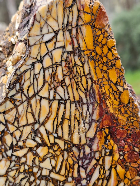 Polished Brecciated Mookaite rock BM318