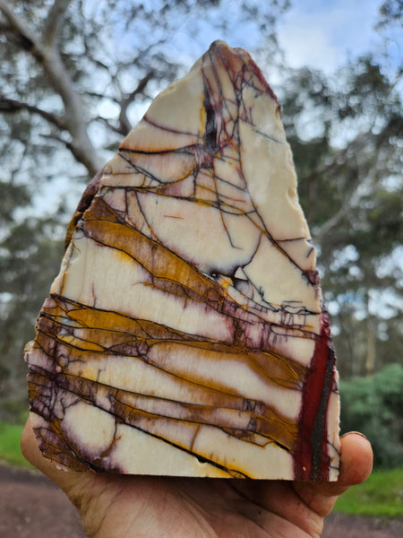 Polished Mookaite  MK515