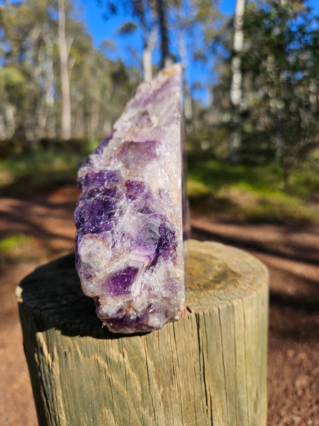 Polished  Amethyst. Rwanda AMP110