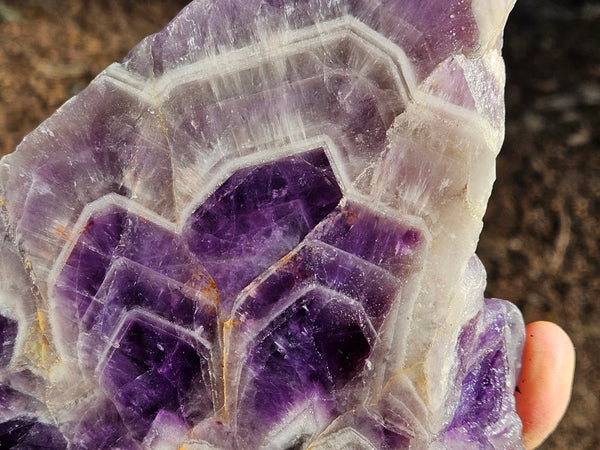 Polished  Amethyst. Rwanda AMP110